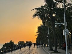 -深圳湾公园(南山区)