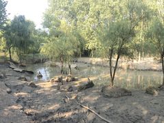 -溱湖国家湿地公园