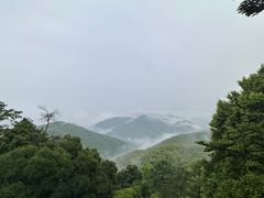 -莫干山风景区
