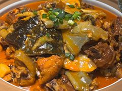 -洞庭家宴·头牌甲鱼(广渠门店)