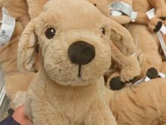 -宜家家居(四元桥商场店)