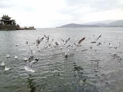 -大理洱海