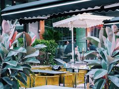 -the rug 飞毯 (朝阳公园店)