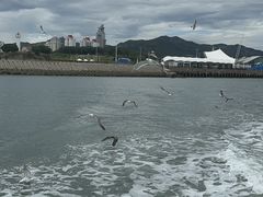 -刘公岛景区