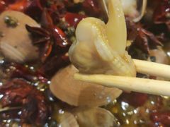 鲜麻肥蛤-陈氏肥蛤(小纬六路总店)