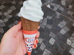 -富豪雪糕车流动点(尖沙咀店)