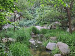 -碓臼峪自然风景区