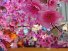 -新城市广场