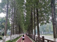 -蜀绣公园
