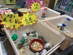 -米卢宠物公园(广华居店)