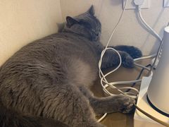 -Me Coffee下午茶艺术空间