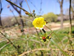 -蜀冈西峰生态公园