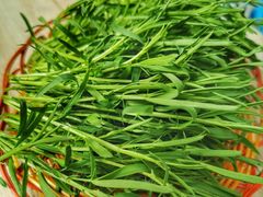 -哈吱喂丽江火塘·牦牛火锅(五一街店)