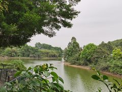 -观澜湖生态运动公社