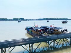 -大湾区中央湿地公园-十九涌
