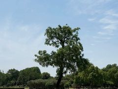 -滨湖塘西河公园