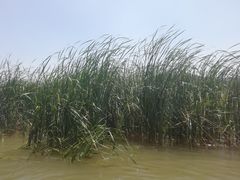 -紫荆关长城漂流