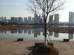 -月湖风景区