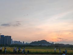 -光明小镇欢乐田园