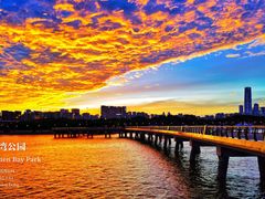 -深圳湾公园(南山区)