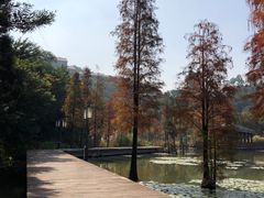 -顺峰山公园