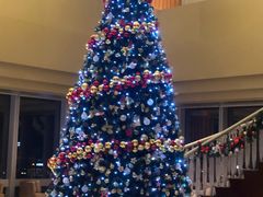 -上海明天广场JW万豪酒店