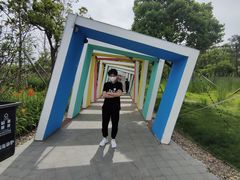 -南汇嘴观海公园