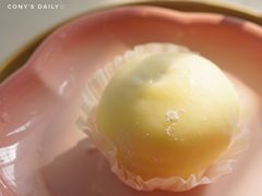 -向阳松鼠(恒大店)