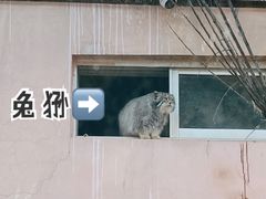 -青藏高原野生动物园