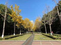 -苏州河梦清园环保主题公园