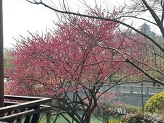 -雅达·阳羡溪山小镇中心