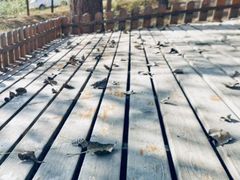 -TIPPI营地 房车主题·露营烧烤团建轰趴(天安假日店)