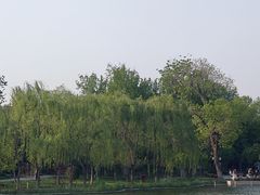-西海子公园