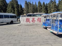 -天山天池风景区-西王母祖庙