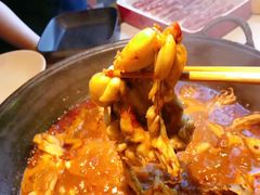 -老天桥蛙炉火锅(姑苏总店)