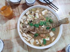 -煲来饱去冷水鱼