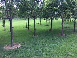 点击看大图 -大望京儿童游乐场