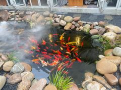-南枝小馆(银鱼巷店)
