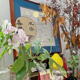 大鹏咖啡店卷起来 | 所城·祝君好