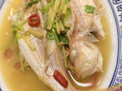 -桂园白粥·潮汕老味道