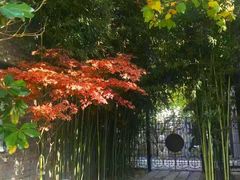 -草场地艺术区