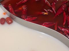 -麻田会 ·鲜活现烹·牛蛙火锅(珠江新城维家思广场店)