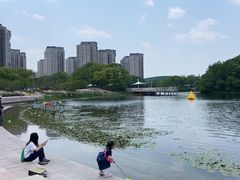 -新江湾城公园