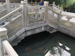-绳金塔