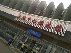 -奥体中心游泳馆