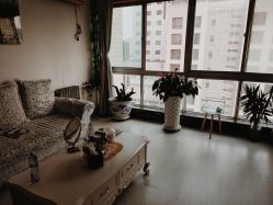 -宜肤清颜专业祛痘问题肌修护