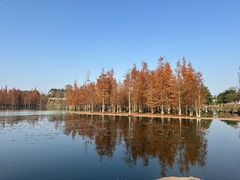 -白鹭湾湿地公园