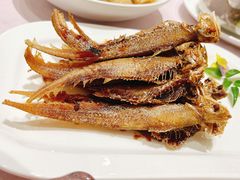 上海烤子鱼-金时代顺风大酒店(静安大融城店)