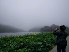 -广州市石门国家森林公园