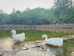 -香山湖公园